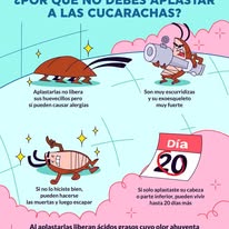 Mosquito con mascarilla y espiral antimosquitos